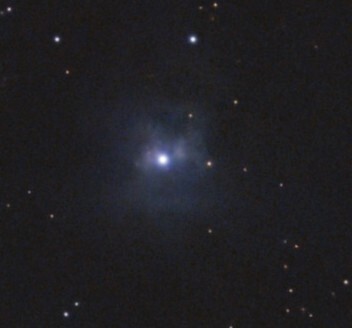 Iris Nebula